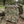 Load image into Gallery viewer, Youth Slick Plate Carrier Multicam
