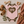 Load image into Gallery viewer, Baby Multicam Camo Cutie Bodysuit
