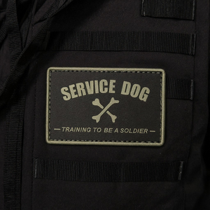 Service Dog Training to be a Soldier