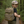 Load image into Gallery viewer, Youth Coyote Tactical Backpack
