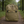 Load image into Gallery viewer, Coyote Tacticool Diaper Bag
